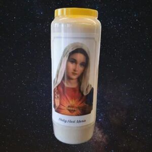 9D003 Heilig hart Maria