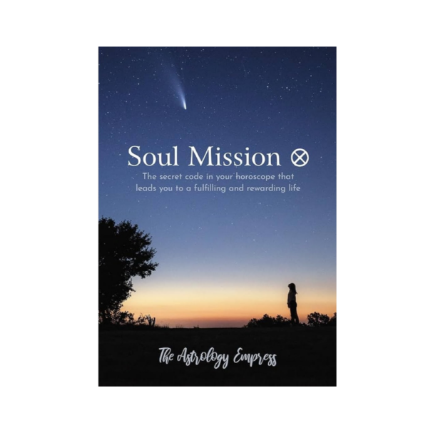 soul mission boek
