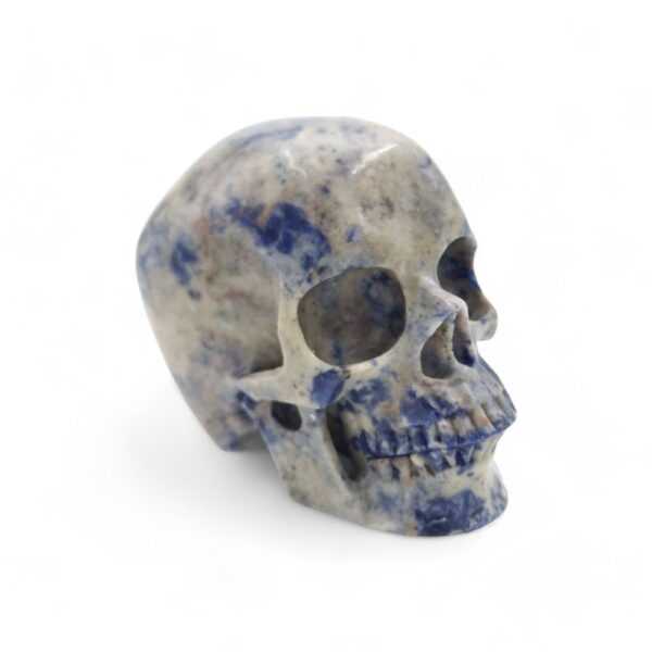 Lapis Lazuli Kristallen Schedel 1,385kg